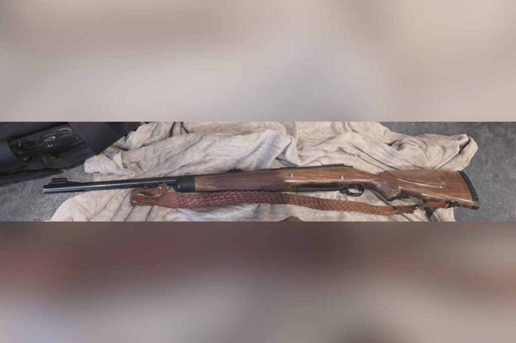 Guns, drugs and cash seized in major police operation - Pulse Tasmania