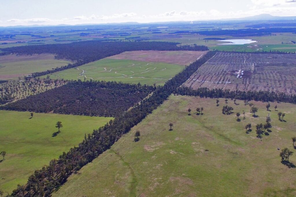 Tasmania to get $500m solar farm capable of powering 70,000 homes by ...