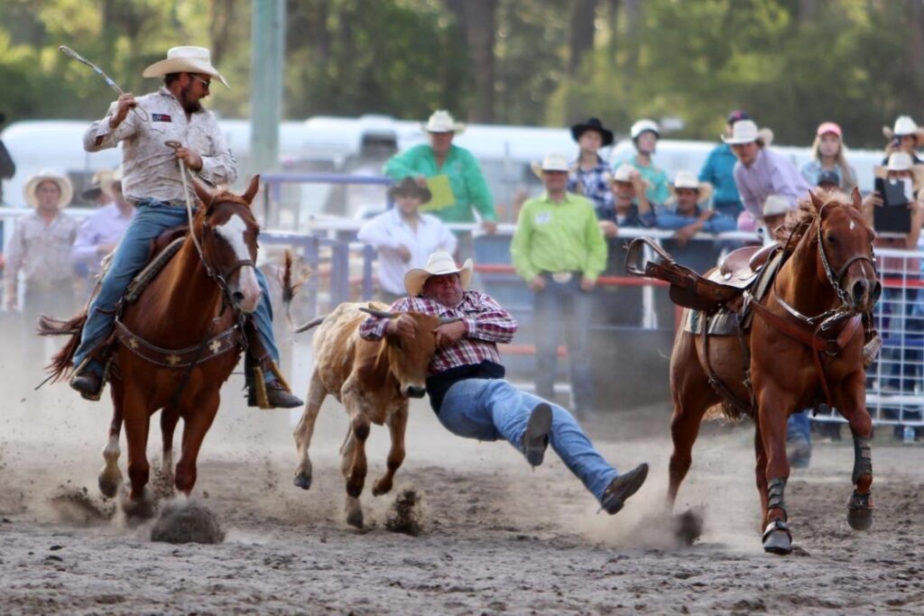 Ulverstone Rodeo Young man caught with firearm in pants at Ulverstone Rodeo - Pulse Tasmania