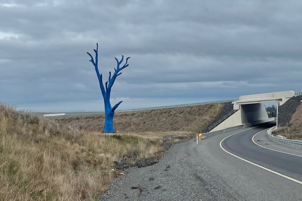Perth’s iconic blue tree cut down after fire damage - Pulse Tasmania
