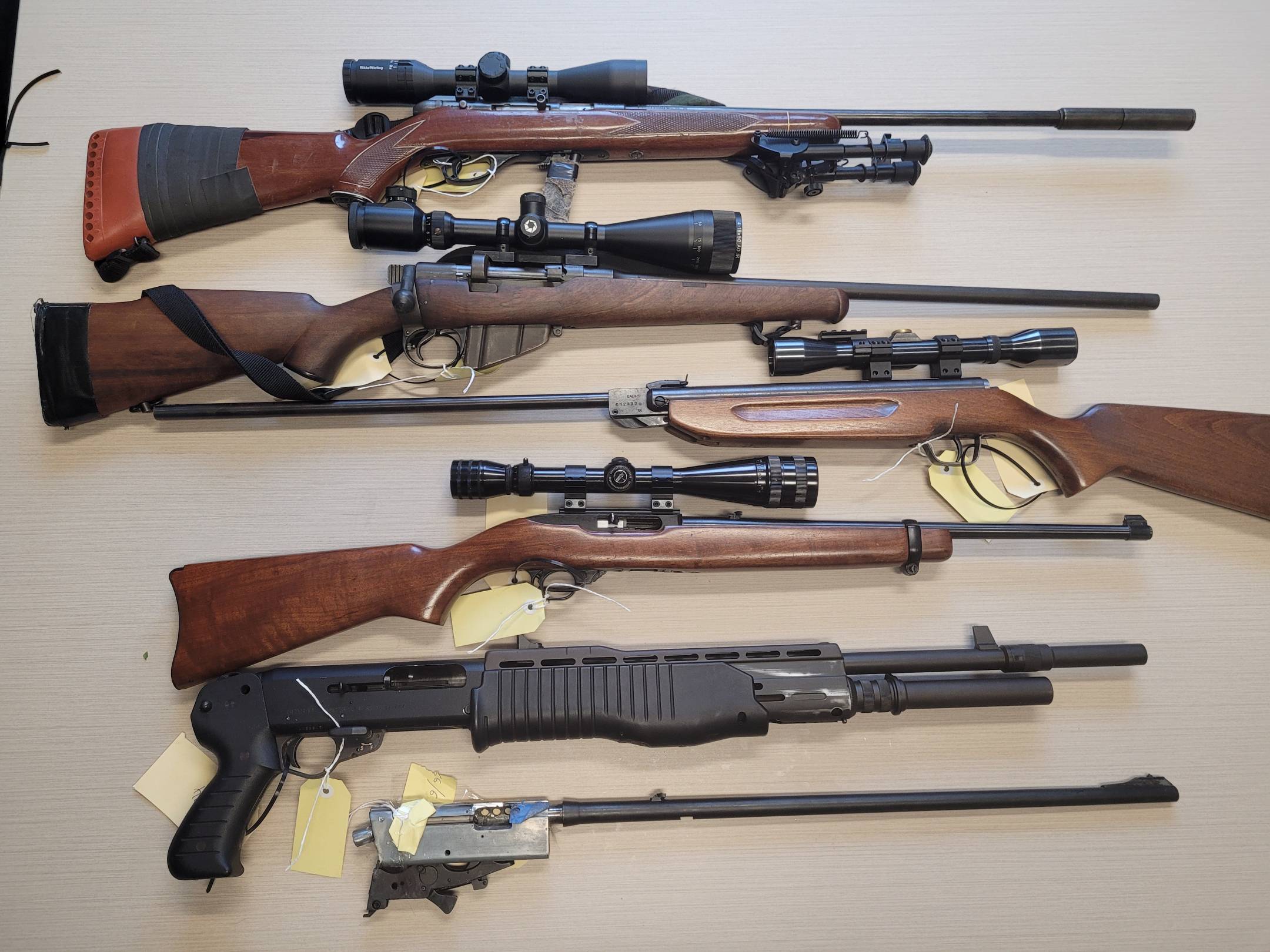 Tipoff leads to major firearms bust in Southern Tasmania Pulse Tasmania