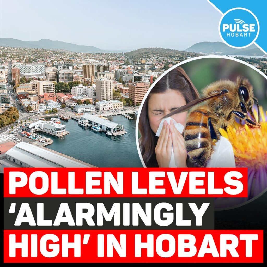 Pollen Levels ‘Alarmingly High’ In Hobart Pulse Tasmania