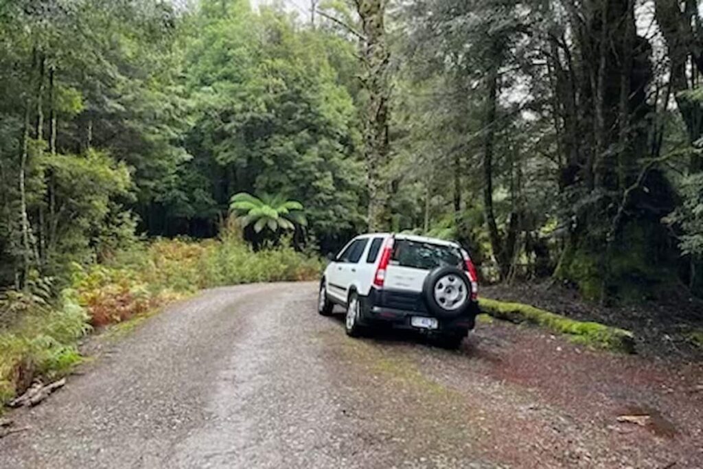 Call for help as search for missing Belgian tourist Celine Cremer ...