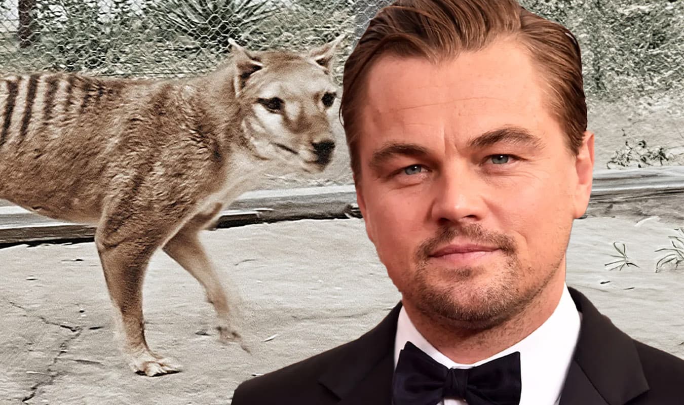 Hollywood actor Leonardo DiCaprio trying to revive extinct Tasmanian