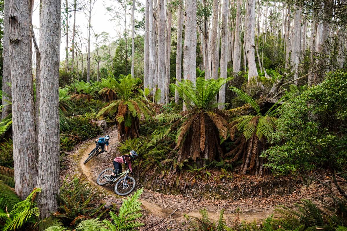 Tourist died after falling from mountain bike at Maydena Bike Park